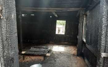 А детишки взяли спички: 58 пожаров в Оренбуржье произошло по вине детей