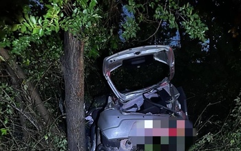 В Орске погибла женщина, въехавшая на авто в дерево (18+) 