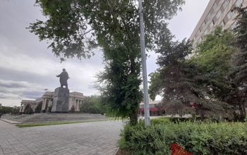 В Оренбурге ухаживать за мэрскими елями и газонами будет ИП Полухин