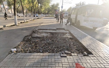 Неужели поумнели? По Оренбургу «бегают» остановки