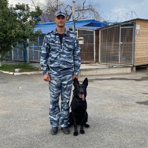 В Соль-Илецке служебная собака нашла два спрятанных трупа (18+)