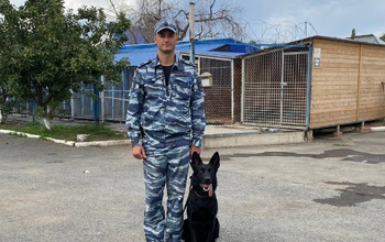 В Соль-Илецке служебная собака нашла два спрятанных трупа (18+)