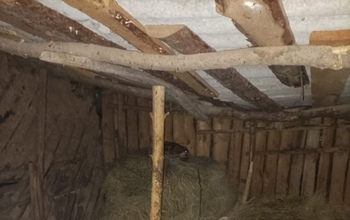 В Саракташском районе задержаны два брата-скотокрада