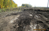 В Пономаревском районе из-за порыва нефтепровода опять погибли посевы подсолнечника