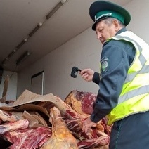 В Оренбуржье решили уничтожить более шести тонн мяса