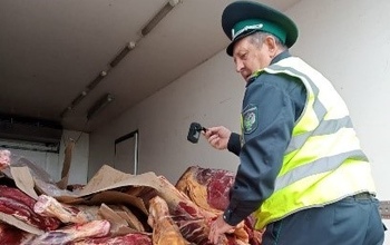 В Оренбуржье решили уничтожить более шести тонн мяса