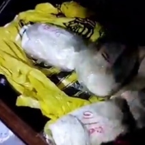 Группа наркодилеров, снабжающих наркотиками Оренбург и Уфу, ответит перед законом