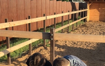 В Пригородном осужден мужчина, похитивший деньги из конюшни и устроивший пожар