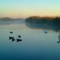 Тишина и умиротворение: утро в биозаказнике Светлинский без людей и машин