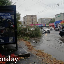 В Оренбурге на ул. Туркестанской дерево упало на проезжую часть