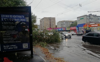 В Оренбурге на ул. Туркестанской дерево упало на проезжую часть