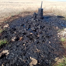 Виноваты коровы? В Первомайском районе произошел разлив нефтепродуктов