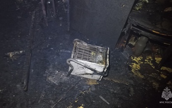 Пытались согреться: в Пономарёвском районе на ночном пожаре погиб мужчина (18+)