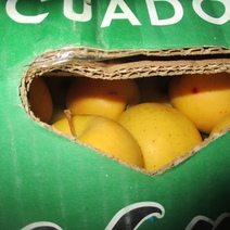 К ввозу в Оренбургскую область не допустили 18 тонн яблок