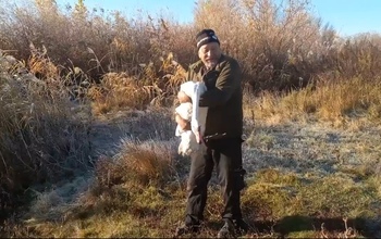 В Ташлинском районе спасли лебедя при смерти