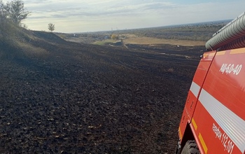 В районе Нижнесакмарского произошел крупный степной пожар