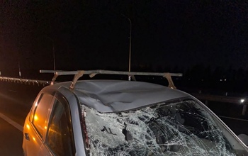 В Оренбурге водитель «Лады Калины» насмерть сбил пешехода (18+)