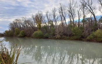 В Бугуруслане река поменяла цвет из-за разлива нефтесодержащей жидкости