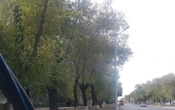 Последствия непогоды: в Оренбурге на ул. Волгоградской оборвались провода