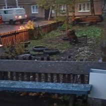 Первый снег пришел и в Оренбуржье