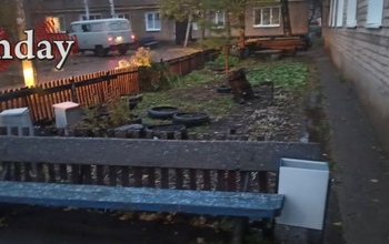 Первый снег пришел и в Оренбуржье