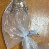 Пять дней на свободе: бывший зэк из Оренбурга снял с соседа дорогую цепочку