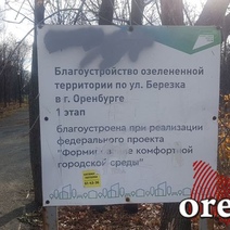 Многомиллионный оренбургский парк «Березка» завален сухостоем