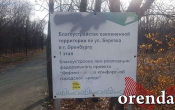 Многомиллионный оренбургский парк «Березка» завален сухостоем