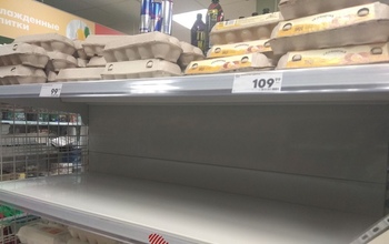 Стоимость яиц в Оренбурге бьет все рекорды
