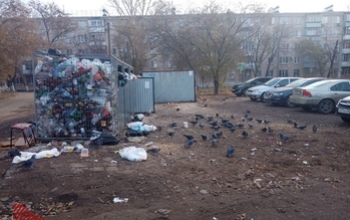 В Оренбурге на улице Луговой зловонная контейнерная площадка соседствует с домом и ДШИ