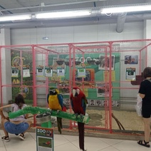 В Оренбурге мини-зоопарк попал на штраф