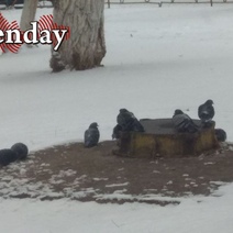 В Оренбуржье снег сменит дождь и плюсовая температура