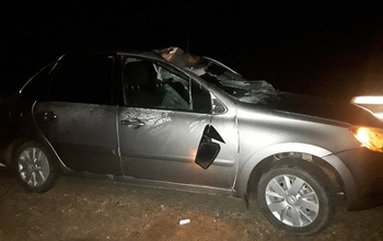 В Оренбургской области после ДТП с лосём со страховой требуют деньги