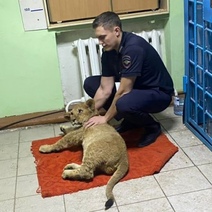 Дело обнаруженного в угнанной 