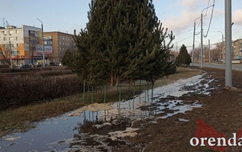 Зима, и елки, торжествуя, поплыли по Оренбургу