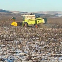 Суровые аграрии Оренбуржья зимой продолжают уборочную