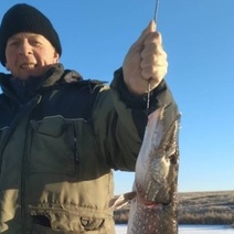 В оренбургских водоемах не перевелись 5-килограммовые рыбины