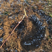 Вандалом из парка в Южном оказался 10-летний малец