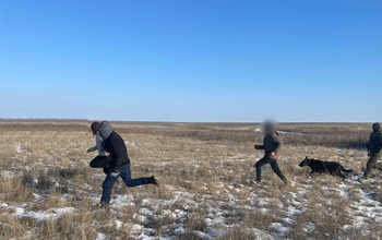 Сразу 13 мигрантов-нелегалов пытались незаконно пересечь границу с Оренбургской областью