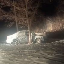 В Оренбуржье водитель иномарки погиб, въехав в дерево