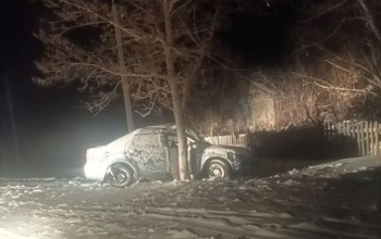 В Оренбуржье водитель иномарки погиб, въехав в дерево