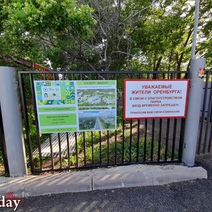 А кто это сделал? Полиция не может найти, кто виноват в вырубке 330 деревьев в «Оренпарке»