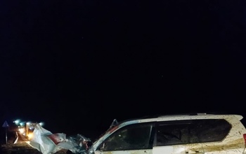 В Оренбургской области водитель внедорожника, врезавшийся в табун лошадей, требует 4,5 млн рублей
