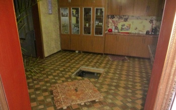 Тело в погребе: убивший пенсионерку 61-летний мужчина хотел скрыться в Оренбурге (18+)