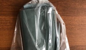 В Саракташе рецидивист зашел в дом к бабушке и открыто забрал кошелёк