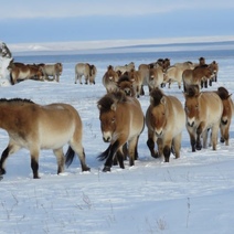 Программа бесплатных путешествий школьников в Оренбуржье не продолжится?