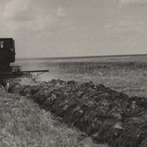 70 лет назад «разбудили» степь в Оренбуржье, и что же сейчас?