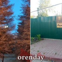 Сухая речка и зеленый пояс вокруг свалки: что пообещал мэр оренбуржцам