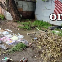 Оренбуржцы недовольны количеством мусорных баков в городе