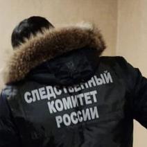 Дело асекеевского мучителя передано в суд (18+)